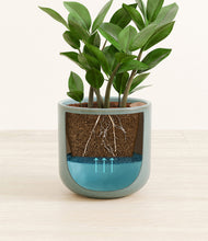 Load image into Gallery viewer, Reactive Aqua stand:all