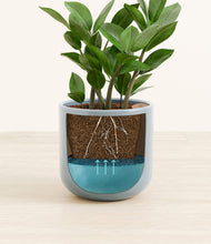 Load image into Gallery viewer, Misty Blue stand:all