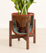 Load image into Gallery viewer, Earth Red stand:walnut