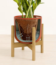 Load image into Gallery viewer, Earth Red stand:bamboo