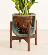 Load image into Gallery viewer, Sage Green stand:walnut