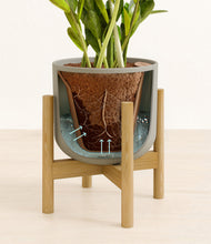 Load image into Gallery viewer, Sage Green stand:bamboo