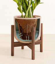 Load image into Gallery viewer, Sandy Pink stand:walnut