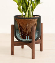 Load image into Gallery viewer, Stone Black stand:walnut