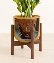 Load image into Gallery viewer, Sunset Orange stand:walnut