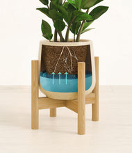 Load image into Gallery viewer, Almond Green stand:bamboo