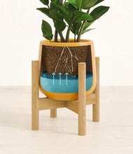 Load image into Gallery viewer, Mustard stand:bamboo