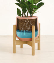 Load image into Gallery viewer, Calm Rose stand:bamboo