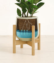 Load image into Gallery viewer, Turquoise stand:bamboo