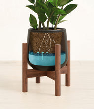 Load image into Gallery viewer, Black stand:walnut