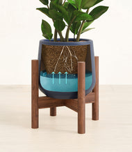 Load image into Gallery viewer, Deep Navy stand:walnut