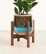 Load image into Gallery viewer, Eternal Gray stand:walnut