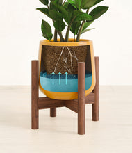 Load image into Gallery viewer, Mustard stand:walnut