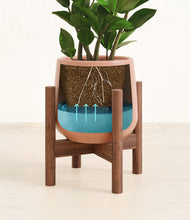 Load image into Gallery viewer, Calm Rose stand:walnut