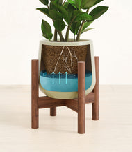 Load image into Gallery viewer, Turquoise stand:walnut