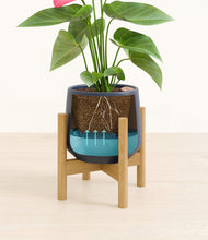 Load image into Gallery viewer, Deep Navy stand:bamboo