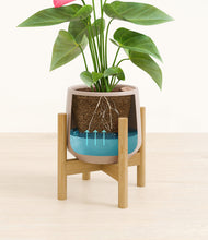 Load image into Gallery viewer, Eternal Gray stand:bamboo