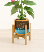 Load image into Gallery viewer, Mustard stand:bamboo