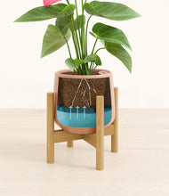 Load image into Gallery viewer, Calm Rose stand:bamboo