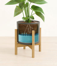 Load image into Gallery viewer, Dark Olive stand:bamboo