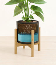 Load image into Gallery viewer, Black stand:bamboo