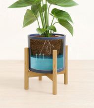 Load image into Gallery viewer, Deep Navy stand:bamboo