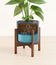 Load image into Gallery viewer, Deep Navy stand:walnut stand:walnut