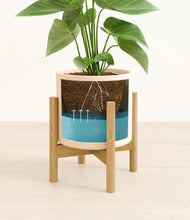 Load image into Gallery viewer, Cream stand:bamboo