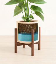 Load image into Gallery viewer, Cream stand:walnut stand:walnut