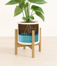 Load image into Gallery viewer, White stand:bamboo