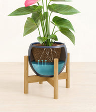 Load image into Gallery viewer, Deep Navy stand:bamboo