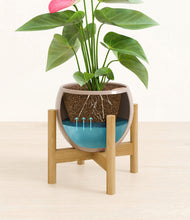 Load image into Gallery viewer, Desert Brown stand:bamboo