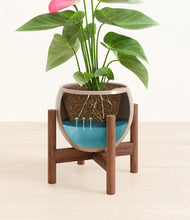 Load image into Gallery viewer, Desert Brown stand:walnut stand:walnut