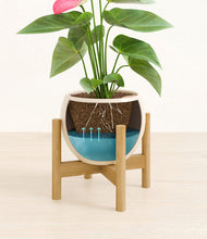 Load image into Gallery viewer, Shiny EggWhite stand:bamboo