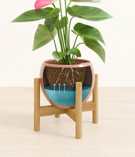Load image into Gallery viewer, Calm Rose stand:bamboo