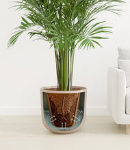 Load image into Gallery viewer, Sandy Pink