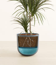 Load image into Gallery viewer, Iron Gray