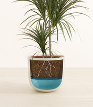 Load image into Gallery viewer, Natural Bamboo