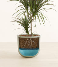 Load image into Gallery viewer, Sage Green