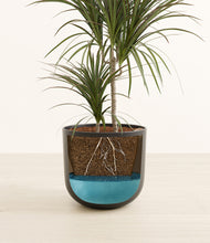 Load image into Gallery viewer, Stone Black