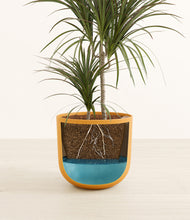 Load image into Gallery viewer, Sunset Orange