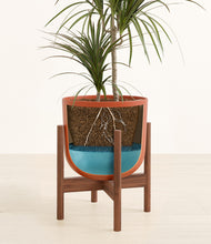 Load image into Gallery viewer, Earth Red stand:walnut