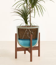 Load image into Gallery viewer, Sage Green stand:walnut