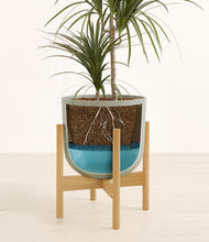 Load image into Gallery viewer, Sage Green stand:bamboo