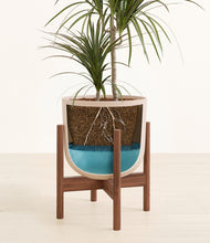 Load image into Gallery viewer, Sandy Pink stand:walnut