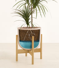 Load image into Gallery viewer, Sandy Pink stand:bamboo