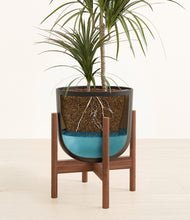 Load image into Gallery viewer, Stone Black stand:walnut