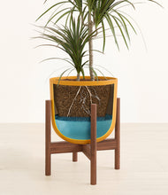 Load image into Gallery viewer, Sunset Orange stand:walnut