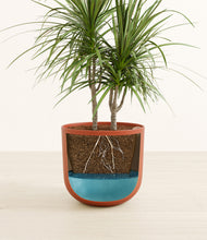 Load image into Gallery viewer, Earth Red