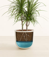 Load image into Gallery viewer, Natural Bamboo